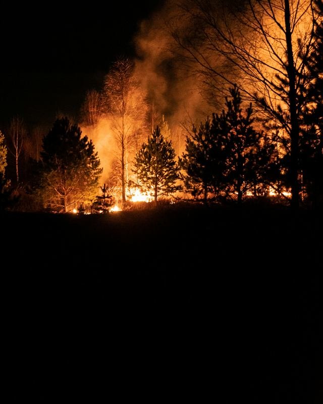 Incendio forestal nocturno avanzando entre pinos (imagen de referencia)